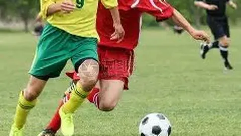 31岁+前锋转会费排行：C罗1.17亿欧领先，莱万4500万，巴蒂与佩莱上榜